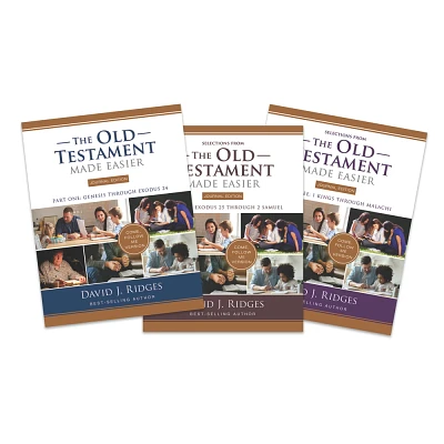 Old Testament Made Easier Journal Edition - by David J Ridges (Paperback)