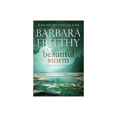 Beautiful Storm - (Lightning Strikes) by Barbara Freethy (Paperback)