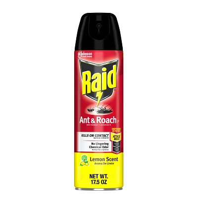 Raid Ant and Roach Killer Bug Spray - Lemon Scent - 17.5oz