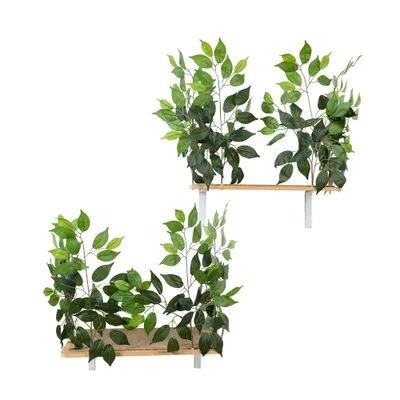On2Pets Rectangle Cat Canopy Shelves - Green - 2ct