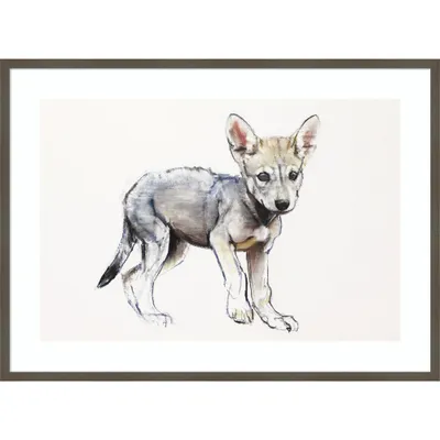 41 x 30 Hesitating Arabian Wolf Pup by Mark Adlington - Amanti Art: Giclee Print, Hardwood Frame