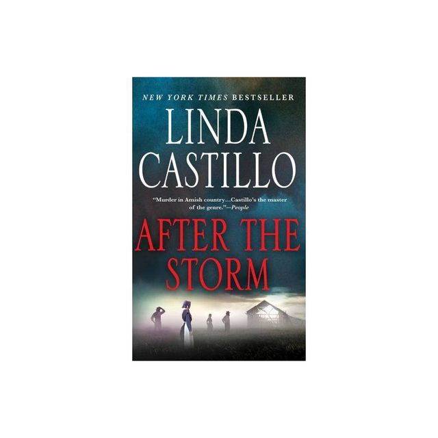 After the Storm - (Kate Burkholder) by Linda Castillo (Paperback)