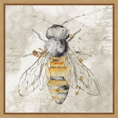 Amanti Art 16x16 Queen Bee II by Eva Watts Framed Canvas Wall Art Print: Modern Lithograph, Insect Theme