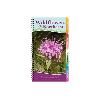 Wildflowers of the Northeast - (Adventure Quick Guides) by George Oxford Miller (Spiral Bound)