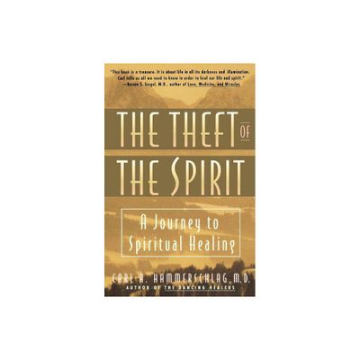 Theft of the Spirit - (Journey to Spiritual Healing) by Carl Hammerschlag (Paperback)