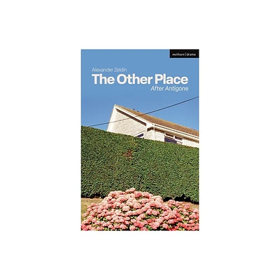 The Other Place - (Modern Plays) by Alexander Zeldin (Paperback)