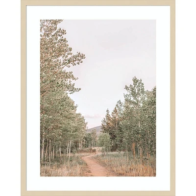 Amanti Art  Winding Path by Alicia Abla: Serene Forest Landscape, Giclee Print