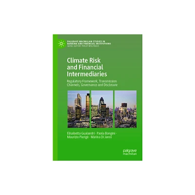 Climate Risk and Financial Intermediaries - (Palgrave MacMillan Studies in Banking and Financial Institut) (Hardcover)