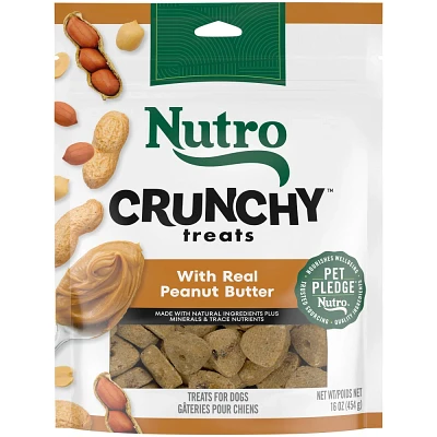 Nutro Peanut Butter Flavor Crunchy Dog Treats - 16oz