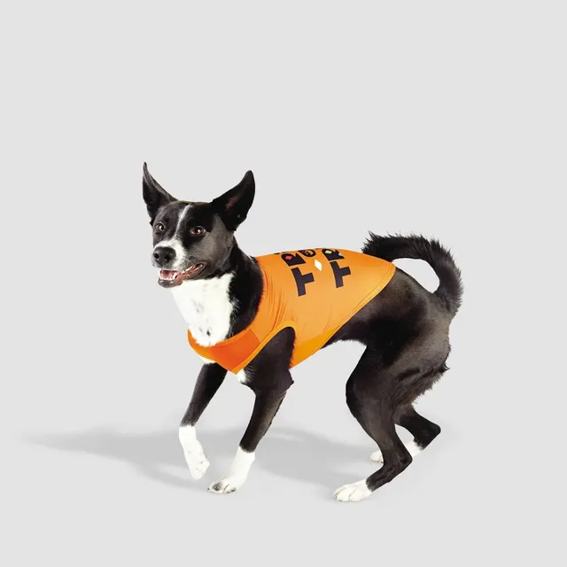 Halloween Rufferee Dog And Cat T-shirt - Hyde & Eek! Boutique™ : Target