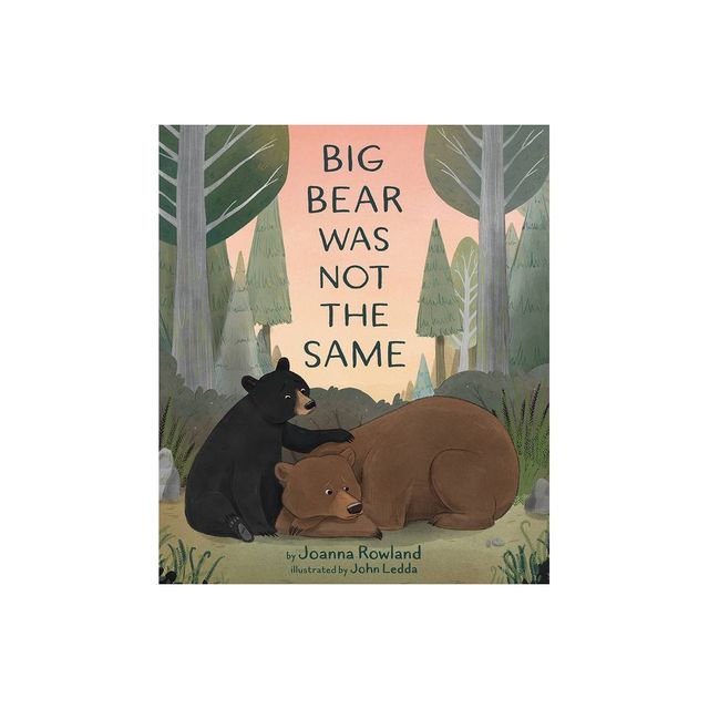 Big Bear Was Not the Same - by Joanna Rowland (Hardcover)