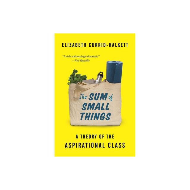 The Sum of Small Things - by Elizabeth Currid-Halkett (Paperback)