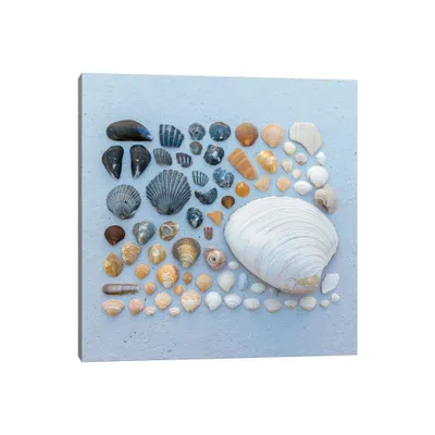 Sally Sells Sea Shells by Alex Tonetti Canvas Art - iCanvas: Gallery Wrap, Fade-Resistant