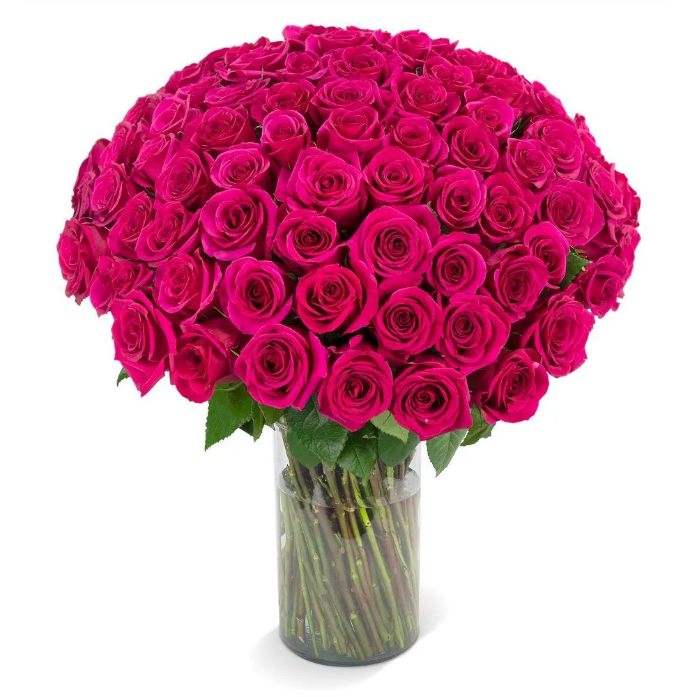 Distributed by Vendor Fresh Cut 100-stem Hot Pink Rose Bouquet | The Market  Place