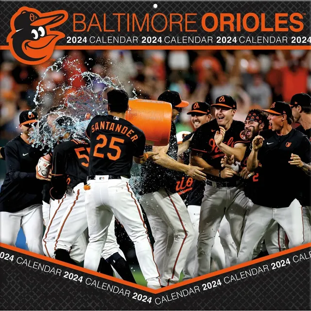 Mlb Baltimore Orioles Baseball Sign Panel : Target