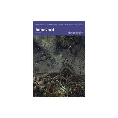 Boneyard - by Stephen Beachy (Paperback)