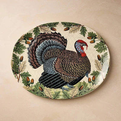 19x14 Turkey with Acorn Stoneware Oval Serving Platter - John Derian for Target