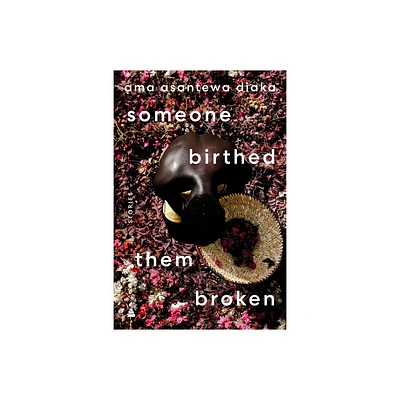 Someone Birthed Them Broken - by Ama Asantewa Diaka (Hardcover)