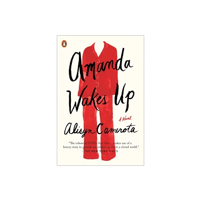 Amanda Wakes Up - by Alisyn Camerota (Paperback)