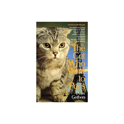 The Cat Who Went to Paris - (Norton the Cat) by Peter Gethers (Paperback)