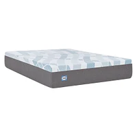 Sealy Dreamlife 12 Hybrid Mattress