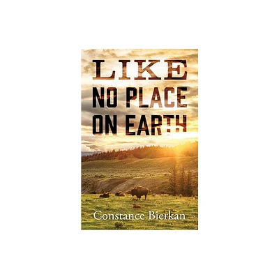 Like No Place on Earth - by Constance Bierkan (Paperback)