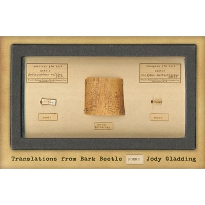 Translations from Bark Beetle - by Jody Gladding (Paperback)