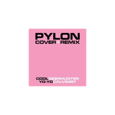 Pylon - Cover + Remix (vinyl 7 inch single)