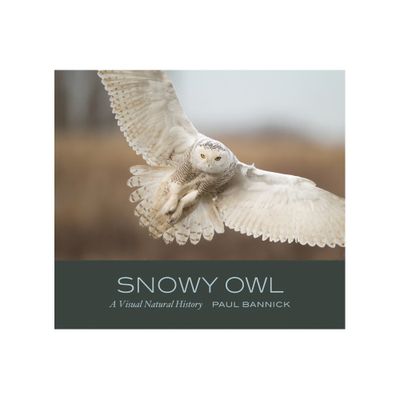 Snowy Owl - by Paul Bannick (Hardcover)