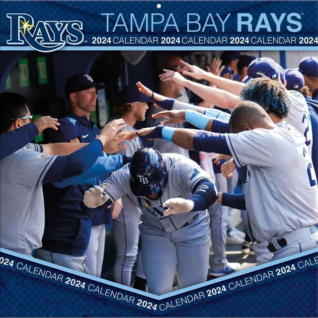 8 x 32 MLB Tampa Bay Rays 3D Stadium Banner