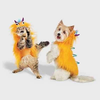 Halloween Monster Hoodie Dog and Cat Costume