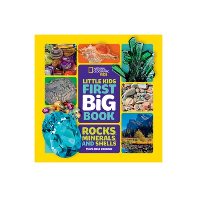 Little Kids First Big Book of Rocks, Minerals & Shells - (First Big Books) by Moira Donohue (Hardcover)