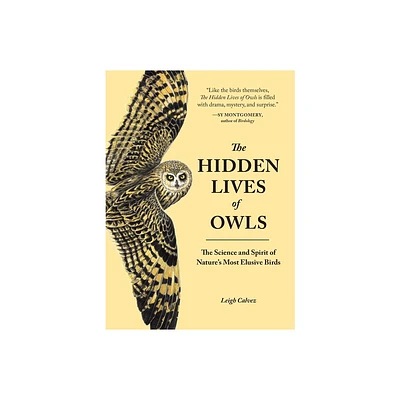 The Hidden Lives of Owls - by Leigh Calvez (Paperback)