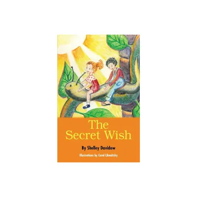 The Secret Wish - by Shelley Davidow (Paperback)