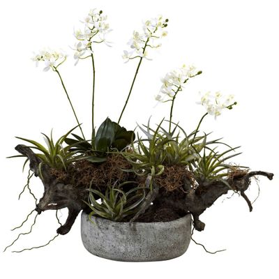 Nearly Natural 20 x 22 Artificial Orchid & Succulent Garden with Driftwood - Elegant Display, Indoor Decor