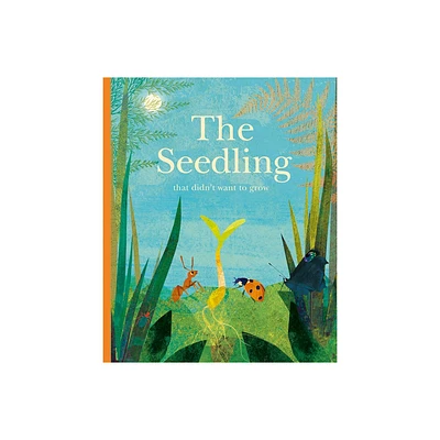 The Seedling That Didnt Want to Grow - by Britta Teckentrup (Hardcover)