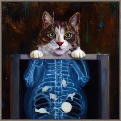 30 x 30 Cat Scan by Lucia Heffernan Framed Canvas Wall Art Print - Amanti Art: Modern Lithograph, Polystyrene Frame