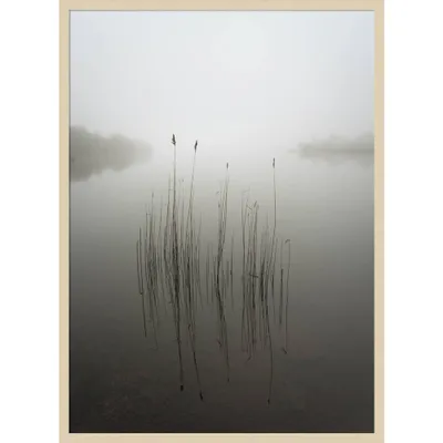 30x41 Reeds in The Mist by David Ahern Wood Framed Wall Art Print Brown - Amanti Art: Giclee, Acrylic, Fir Wood Frame