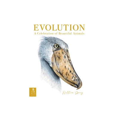 Evolution: A Celebration of Beautiful Animals - by William Spring (Hardcover)