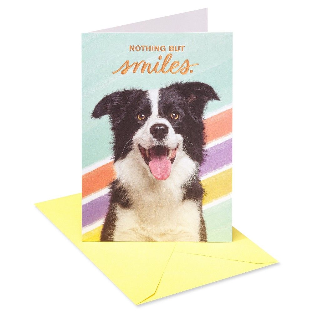 Nothing But Smiles Card Nothing But Smiles Card
