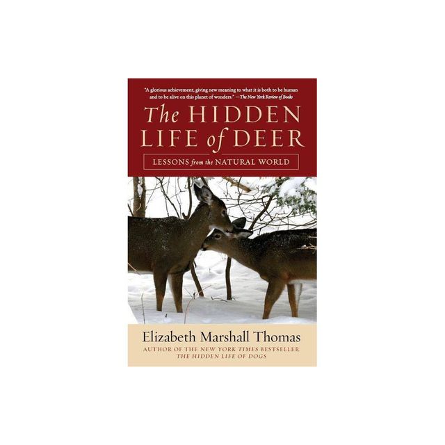 The Hidden Life of Deer - by Elizabeth Marshall Thomas (Paperback)