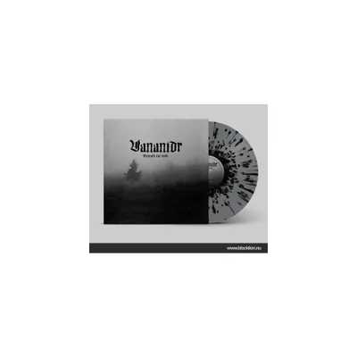 Vananidr - Beneath The Mold - Black & Grey Splatter (Vinyl)