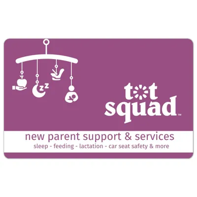 Tot Squad New Parent Support & Services (20-30min Live Video Consultation)