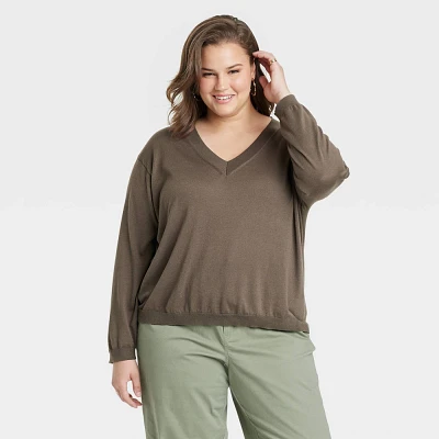 Women Fine Gauge V-Neck Sweater