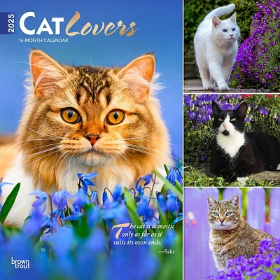 BrownTrout 2025 Wall Calendar 12x12 Cat Lovers