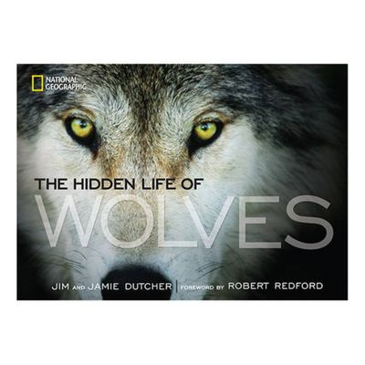 The Hidden Life of Wolves - by Jamie Dutcher (Hardcover)