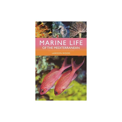 Marine Life of the Mediterranean - 2nd Edition by Lawson Wood (Paperback)