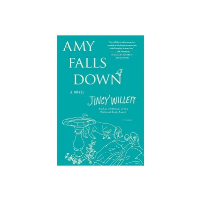 Amy Falls Down - (Amy Gallup) by Jincy Willett (Paperback)