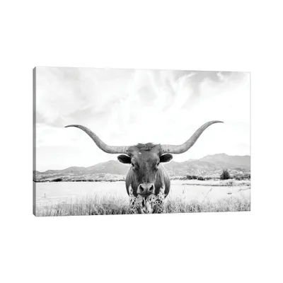 Longhorn by Sisi & Seb Unframed Wall Canvas - iCanvas: Modern Bovine Art, Animal Photography