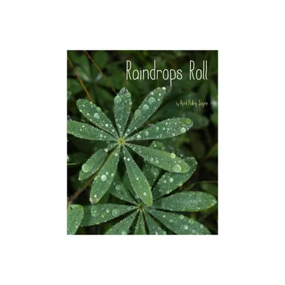 Raindrops Roll - (Weather Walks) by April Pulley Sayre (Hardcover)